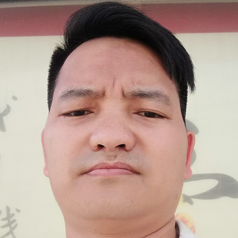飞鸟与呆萌的照片
