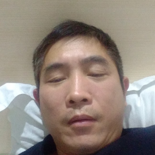 老虎找猫的照片