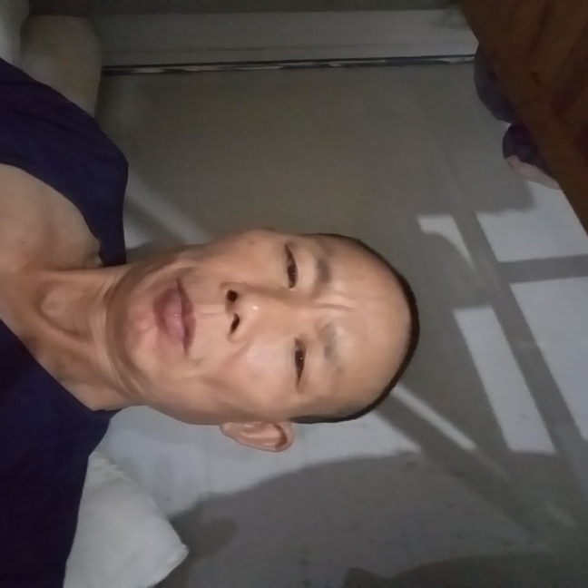 合适吃醋羽毛的照片