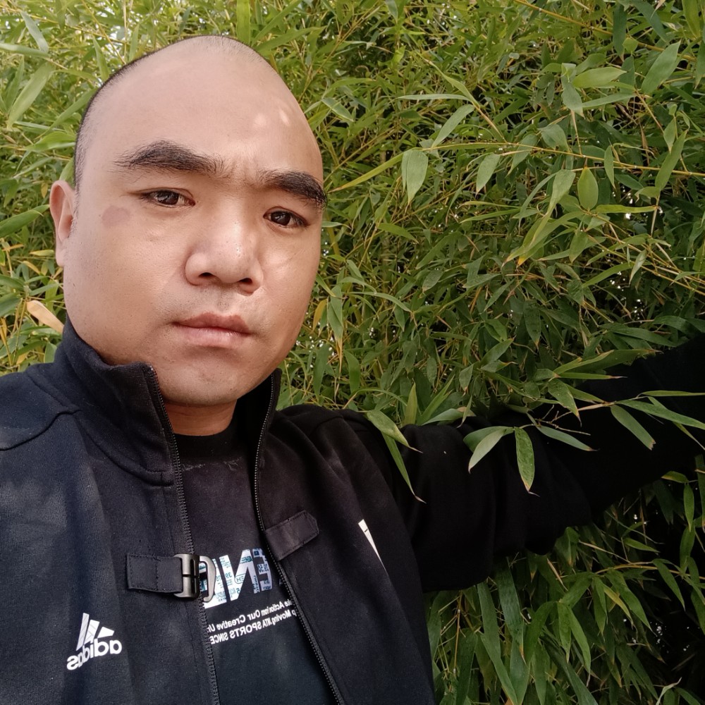 王海垒的照片