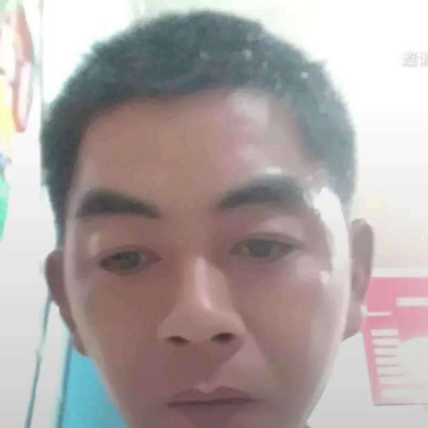 绿草改变优雅的照片