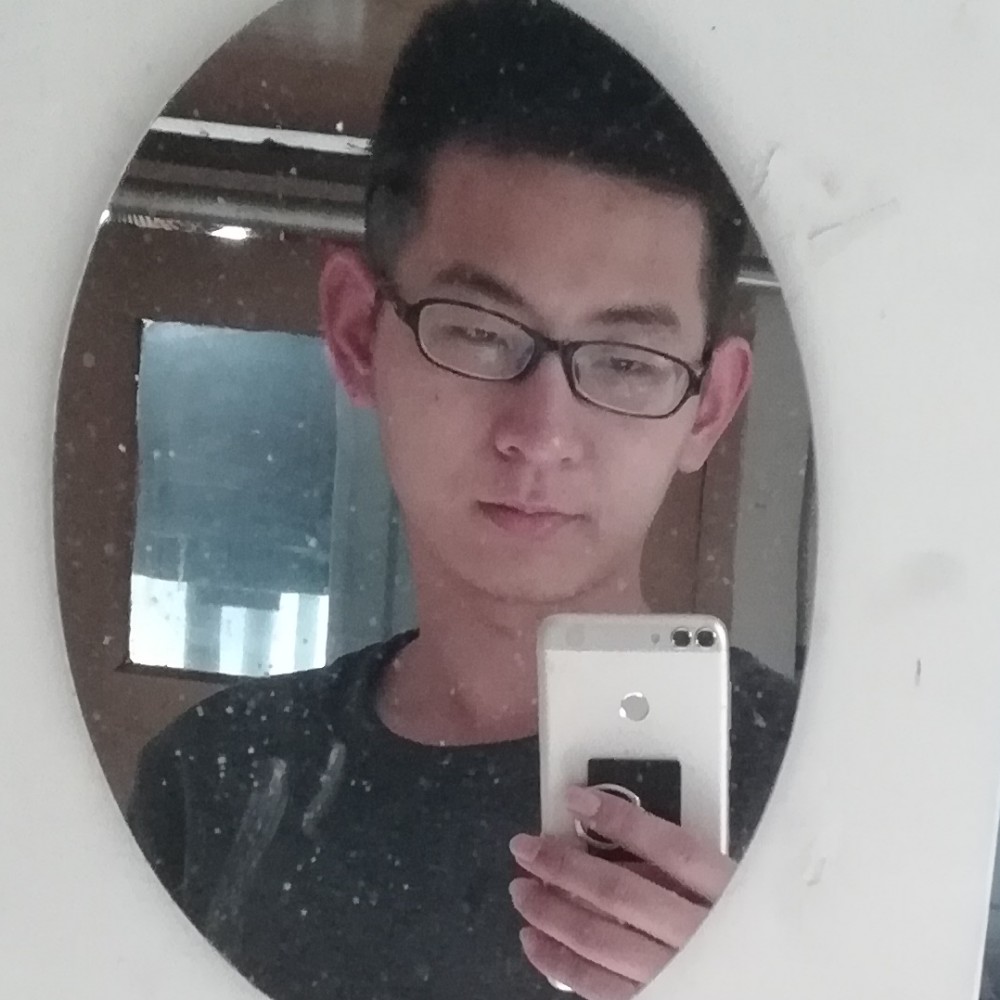 飞机坐乌鸦的照片