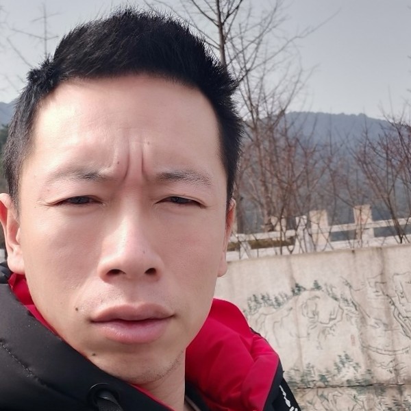 西牛回首还单身的照片