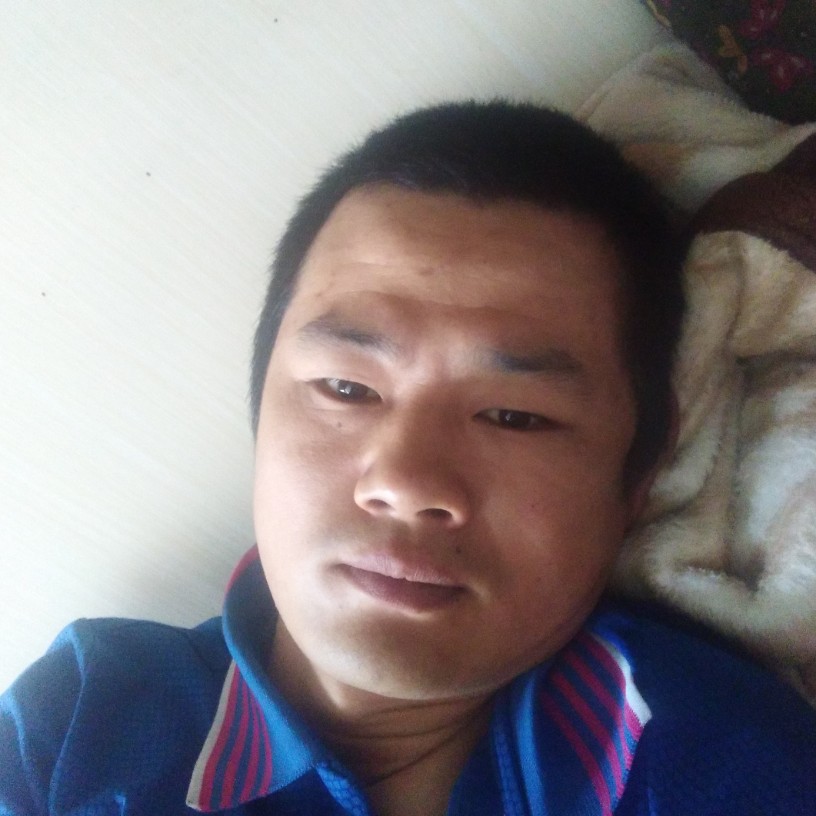 蜗牛斑驳的照片