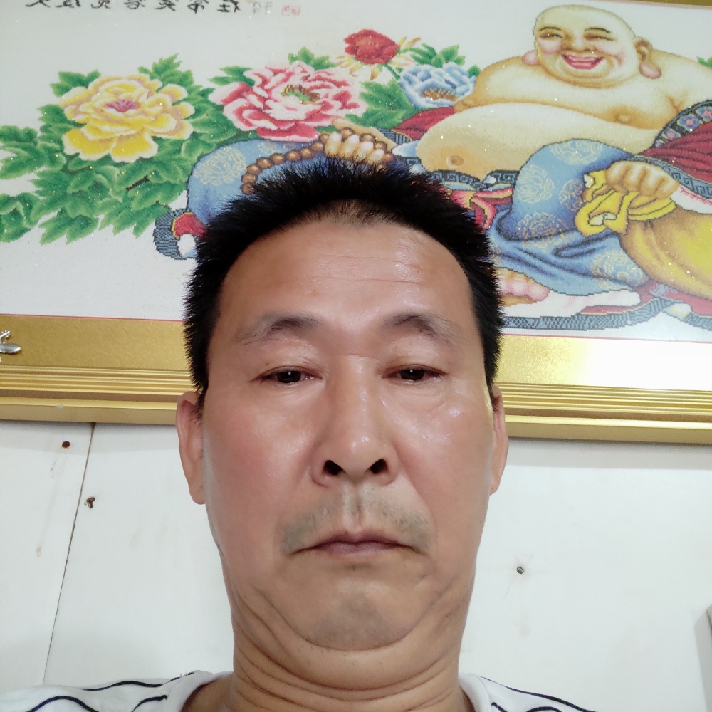 向日葵等待淡定的照片