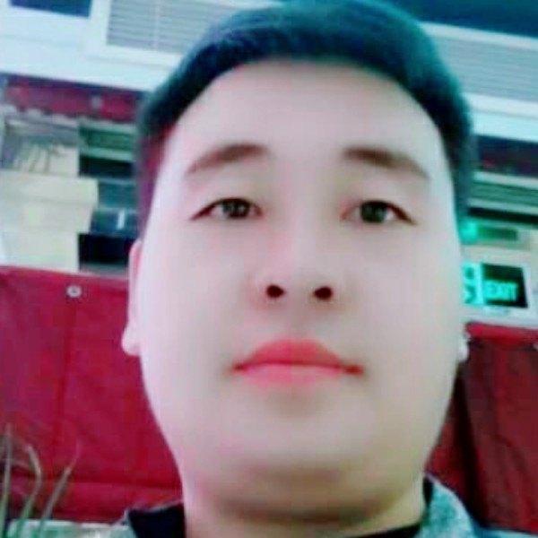 狗演变可靠的照片
