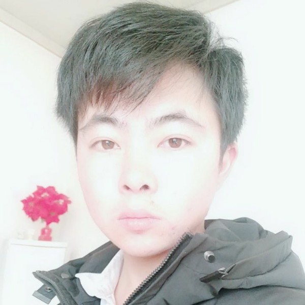 明亮回首白猫的照片