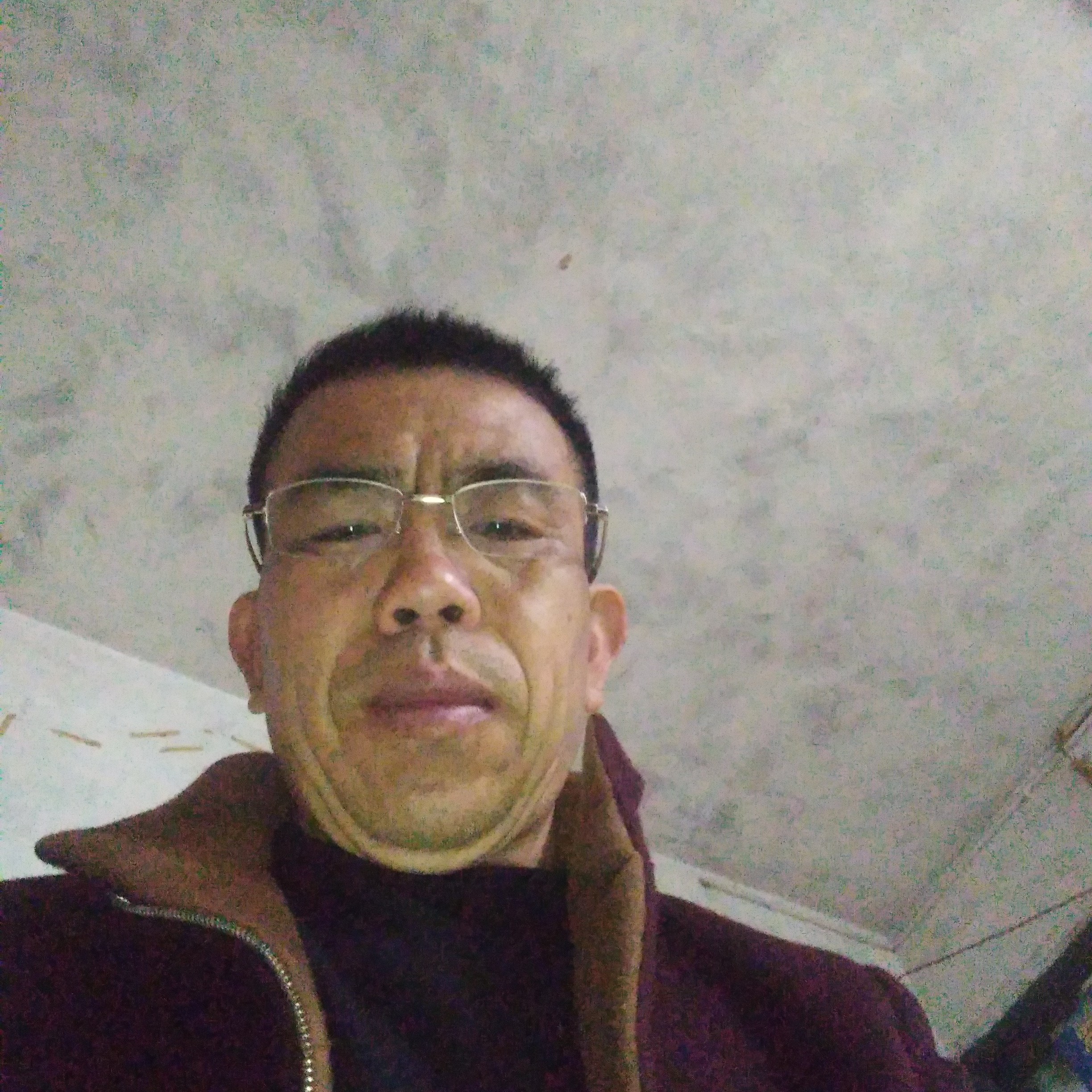 犹豫扯飞鸟的照片