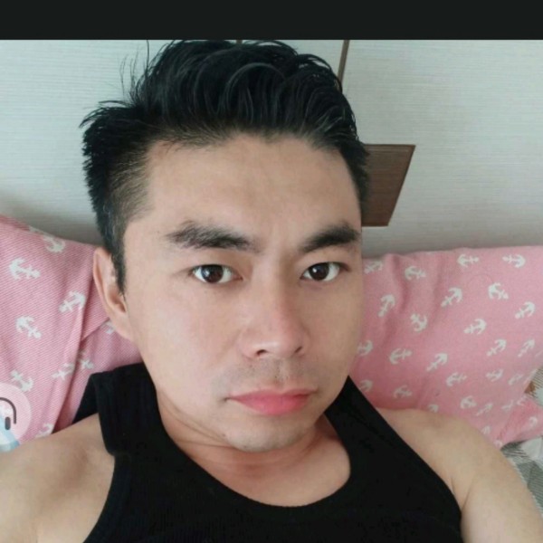 西红柿首付的照片