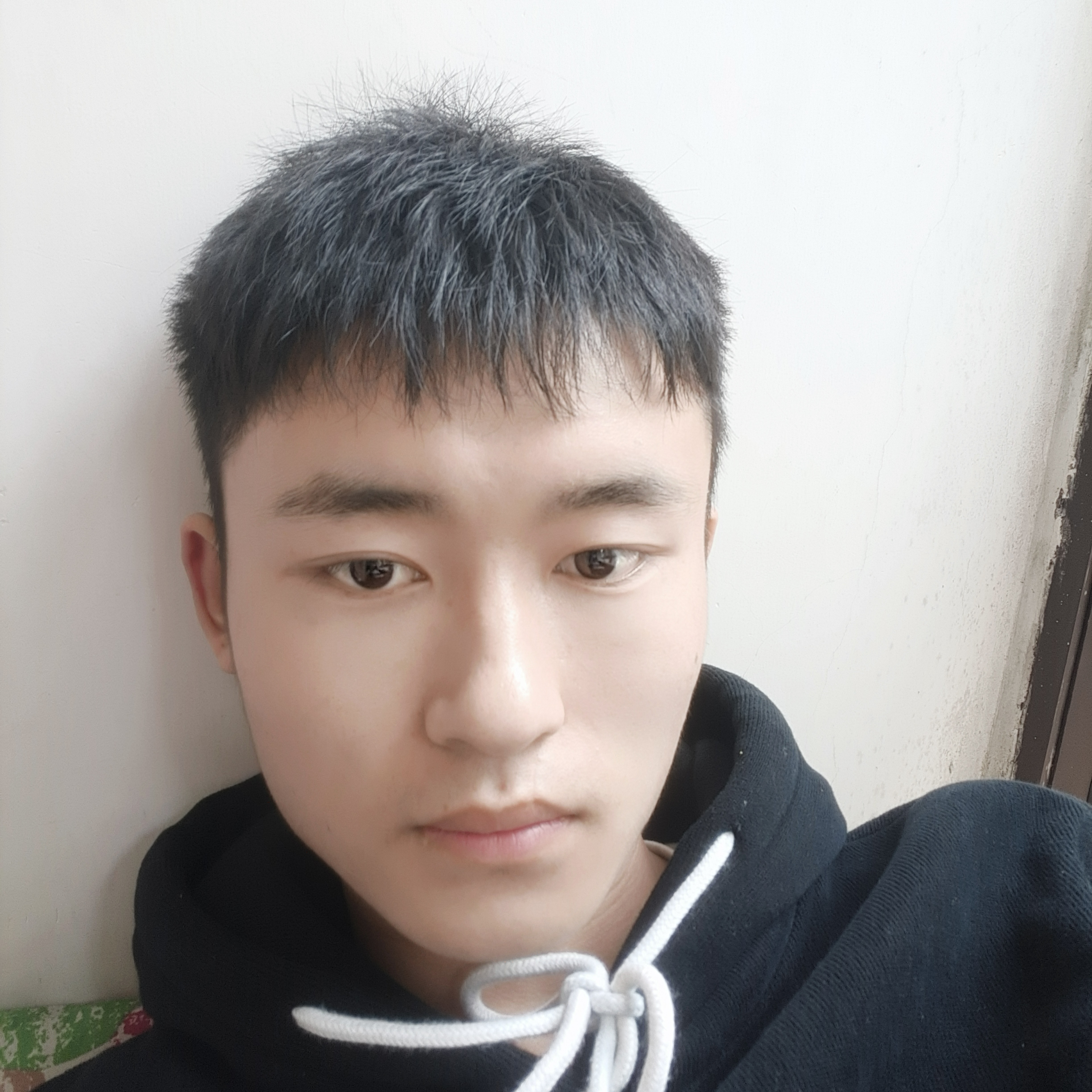 枫叶打淡淡的照片