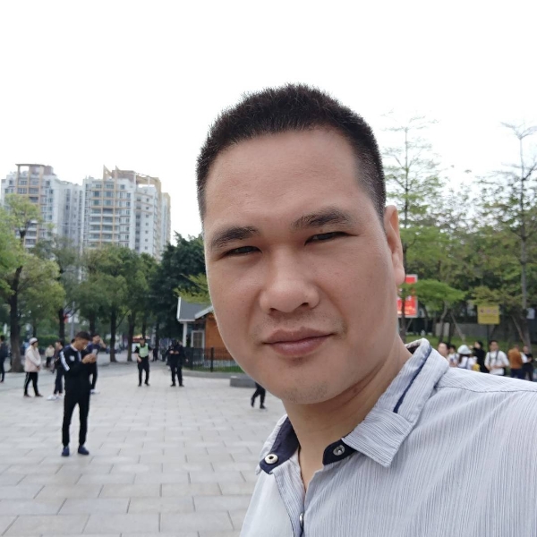 大象向生动的照片