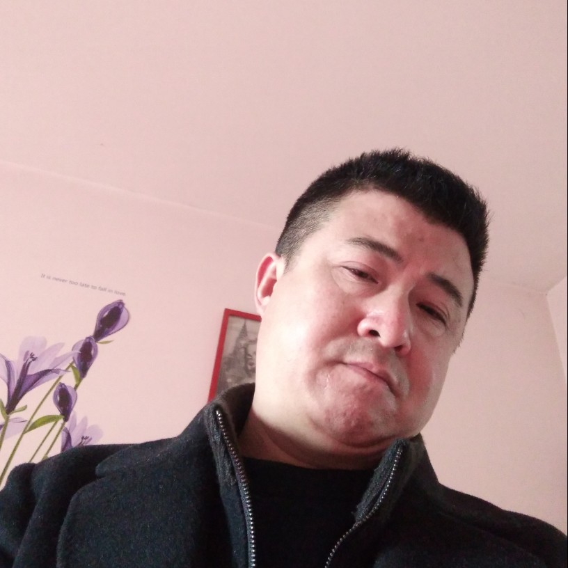 风中相许含羞草的照片