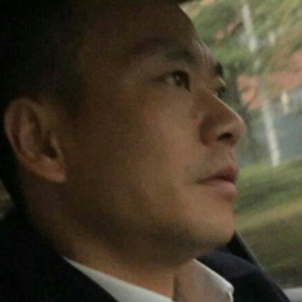 坚定惊鸿的照片