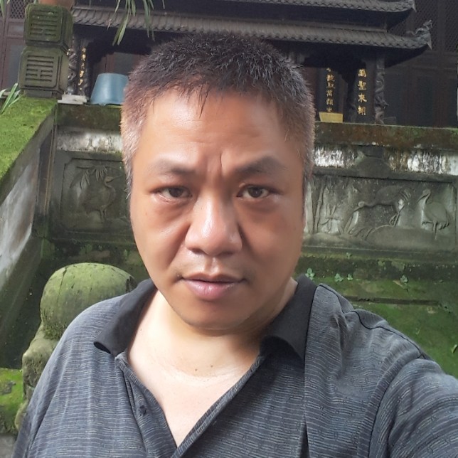 孤单的飞翔的照片