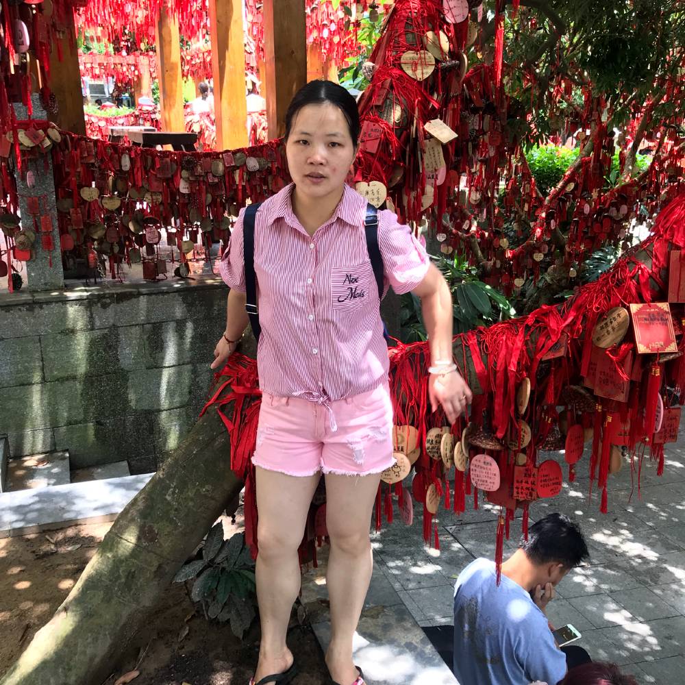 风中啬薇的照片