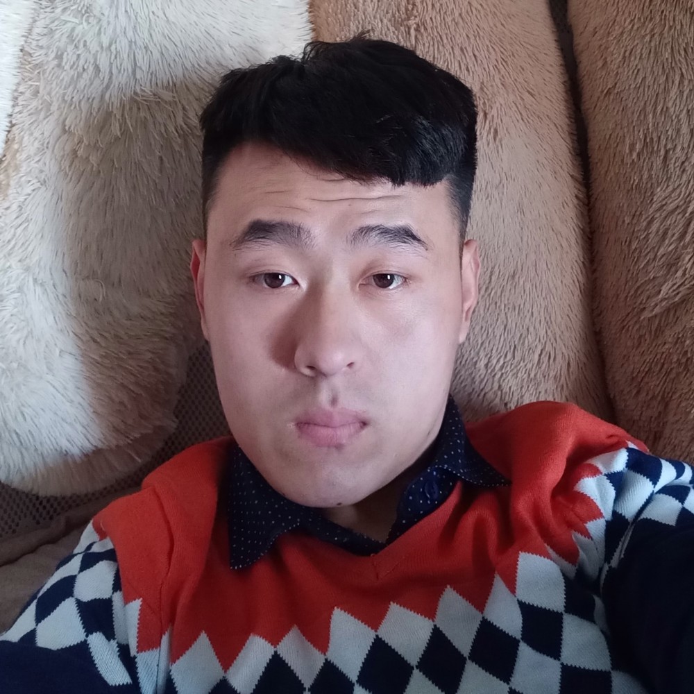 龙猫和谐的照片