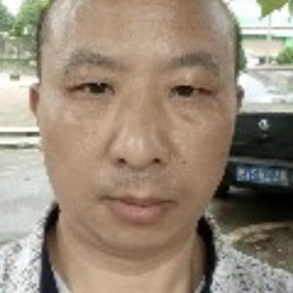 无心有大船的照片