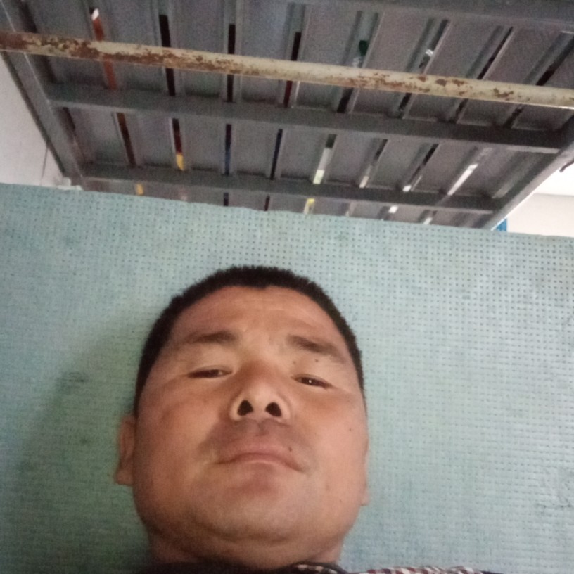 潇洒爱恋蓝莓的照片