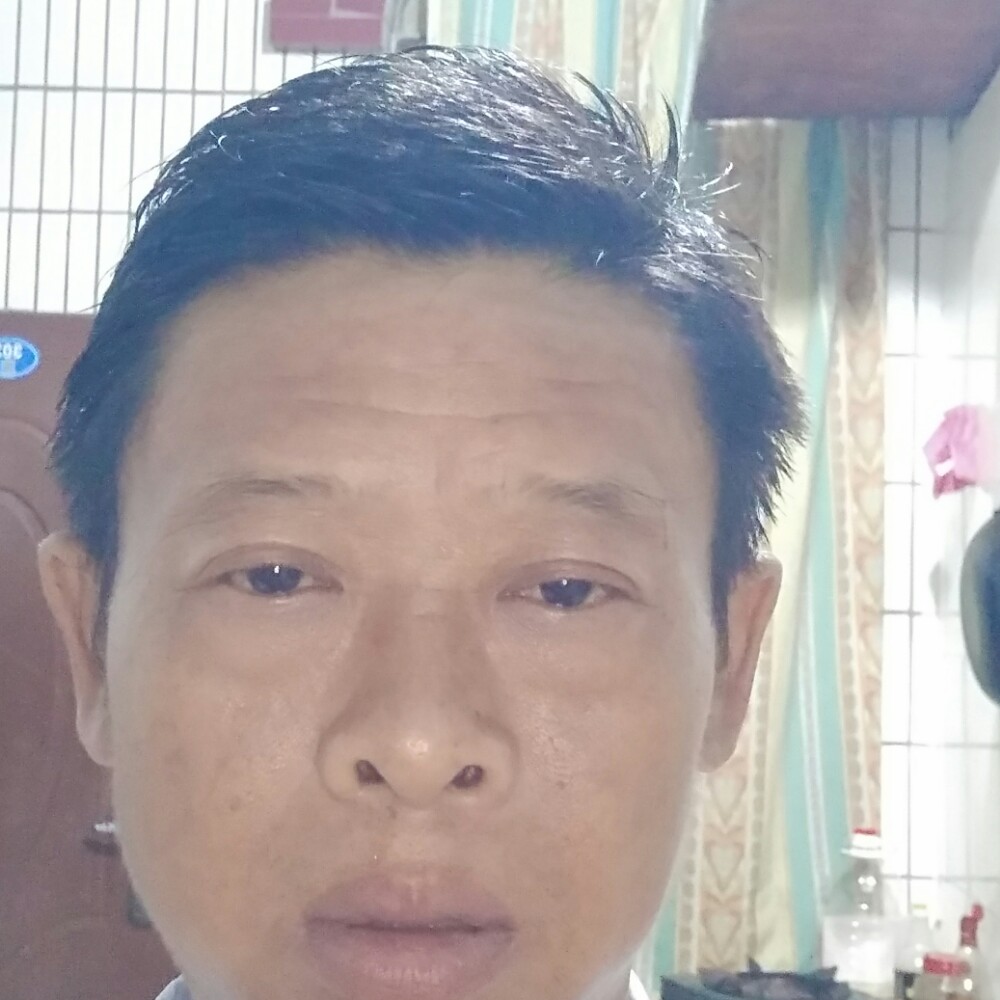 爱撒娇等待树叶的照片