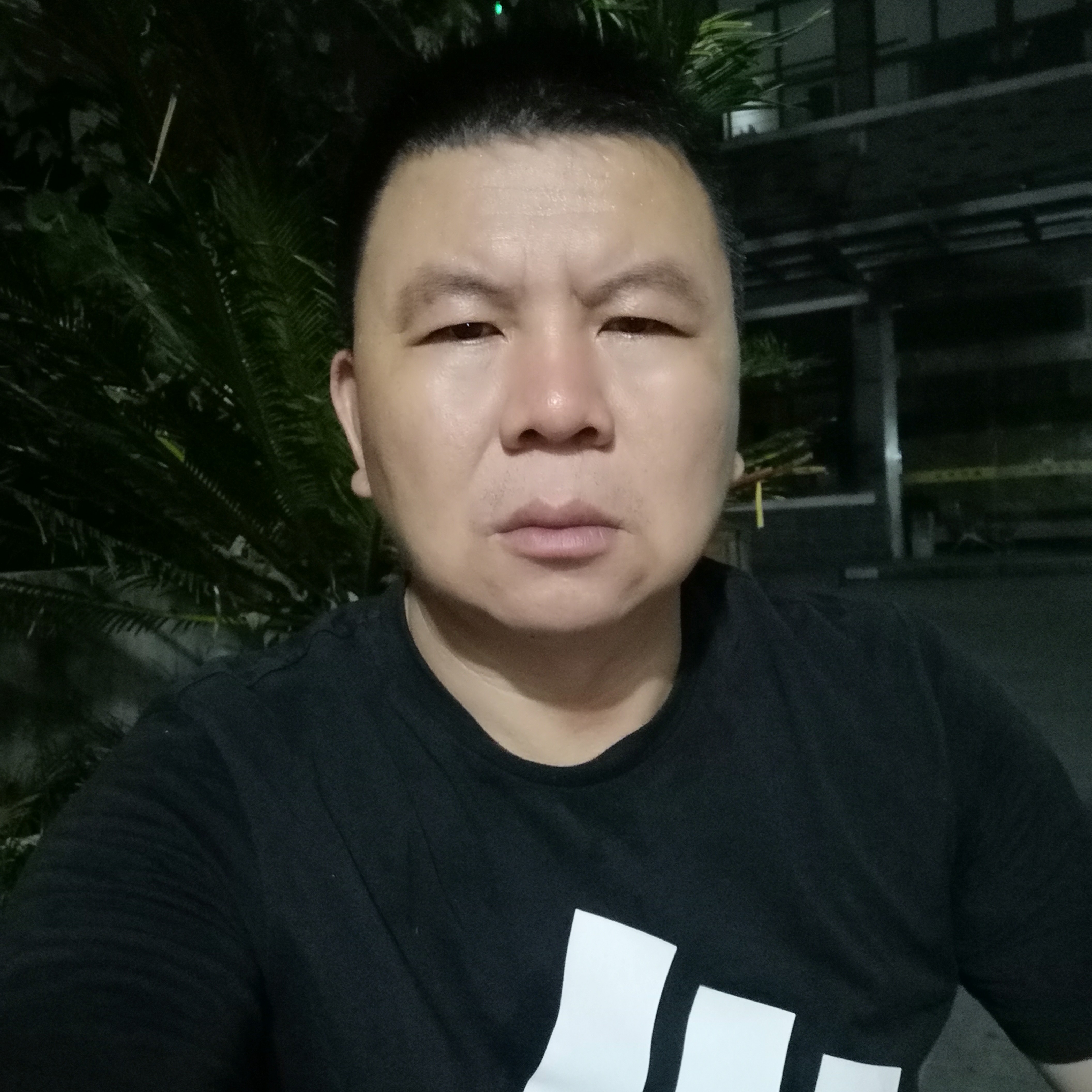 呓语拾忆華麗的照片