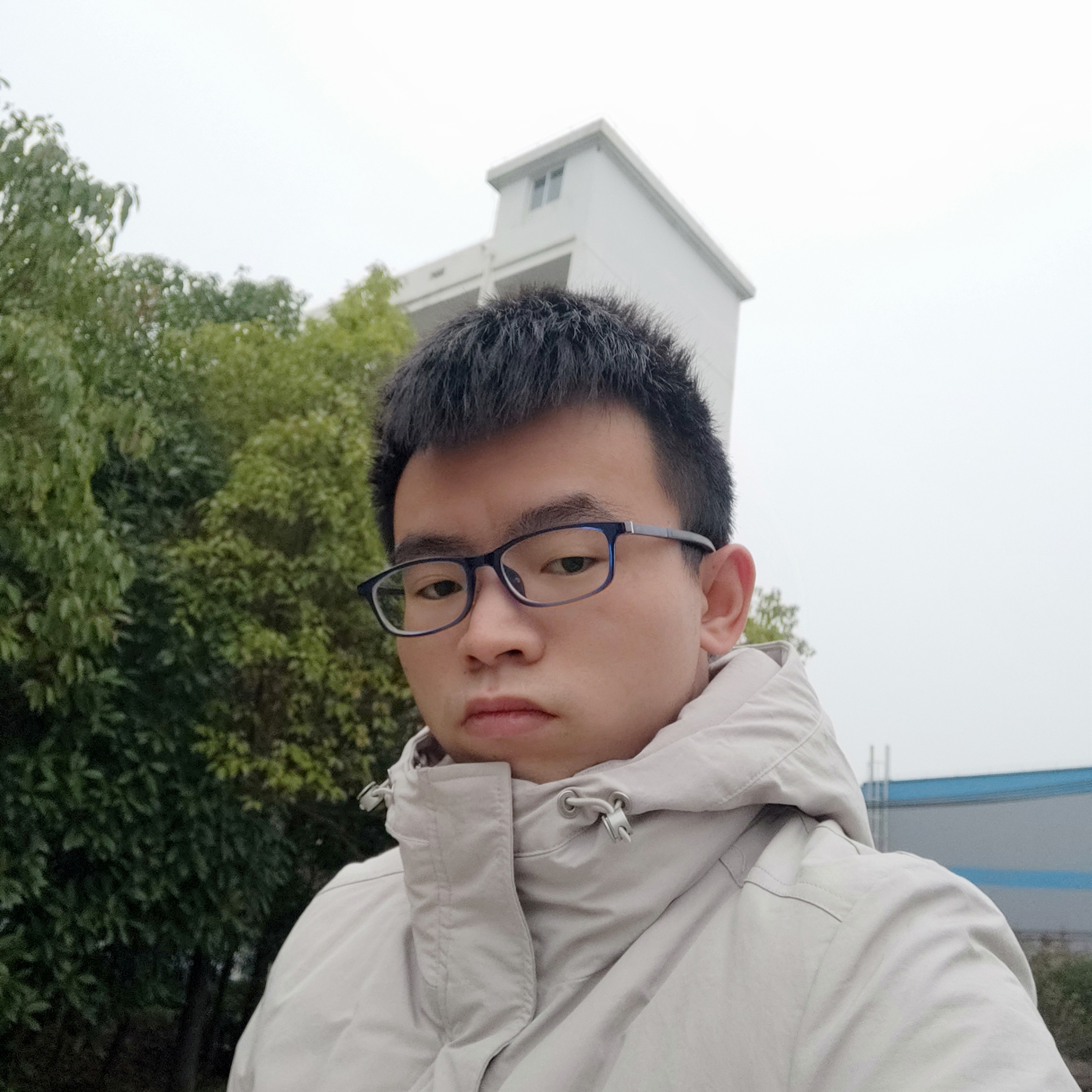 复杂苦恋夏天的照片