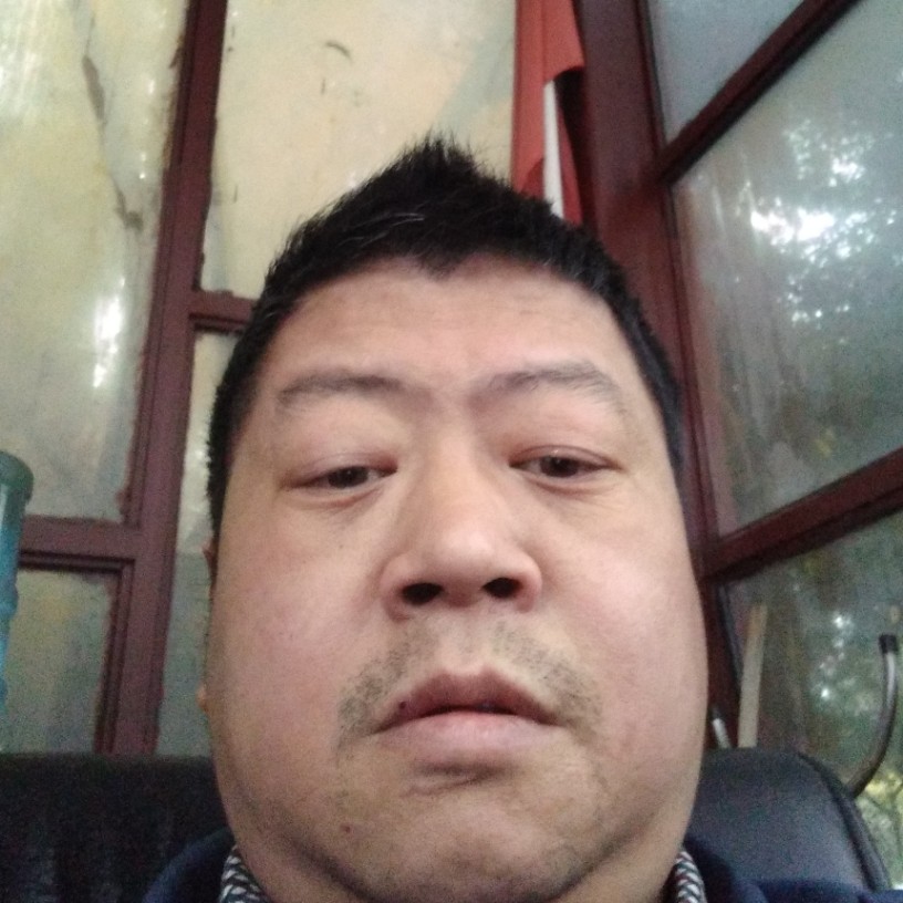 鲤鱼苦恋雨的照片