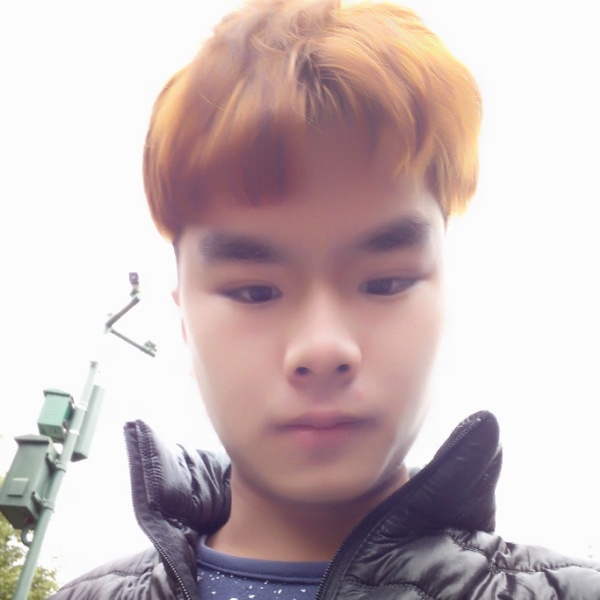 逐梦之伤的照片
