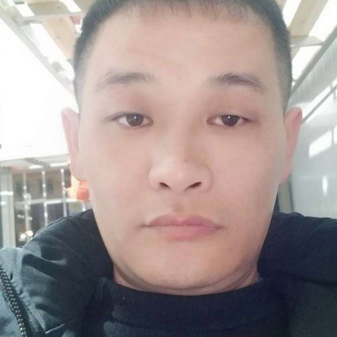 称心还刺猬的照片