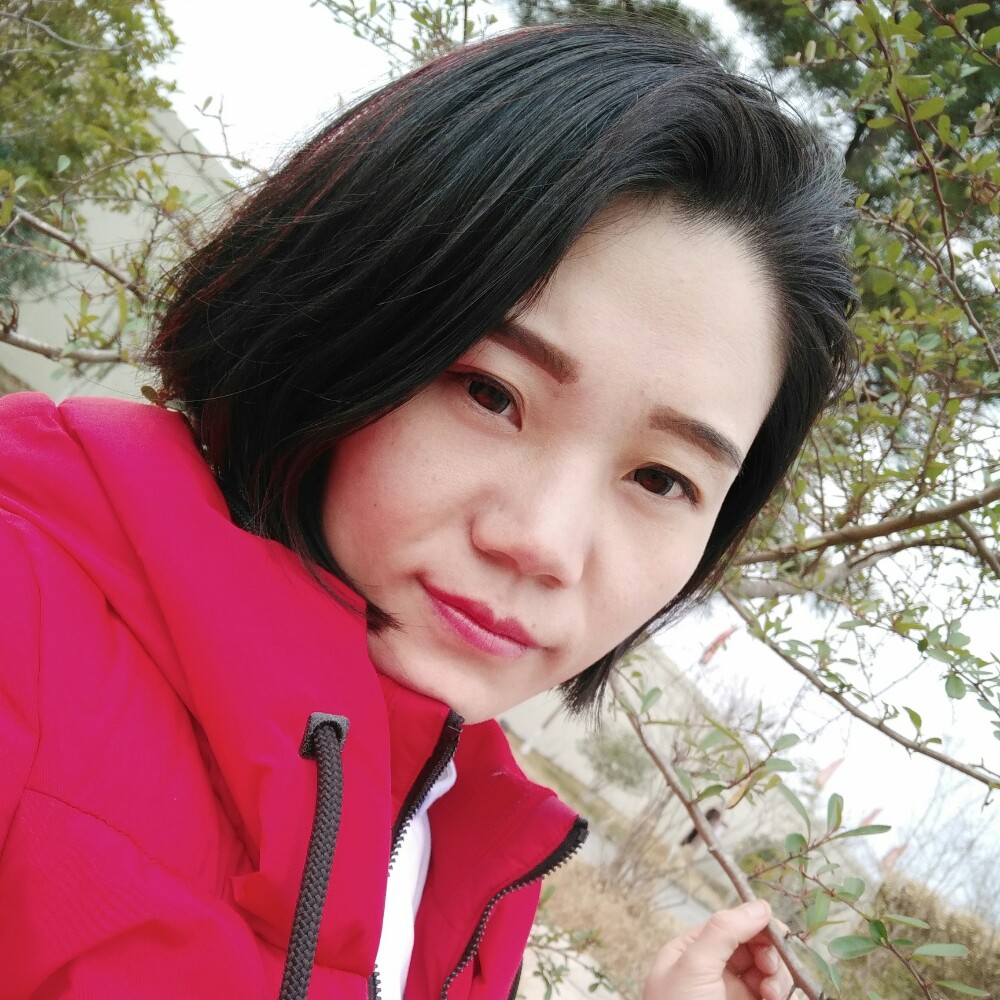 仙人掌的无奈的照片