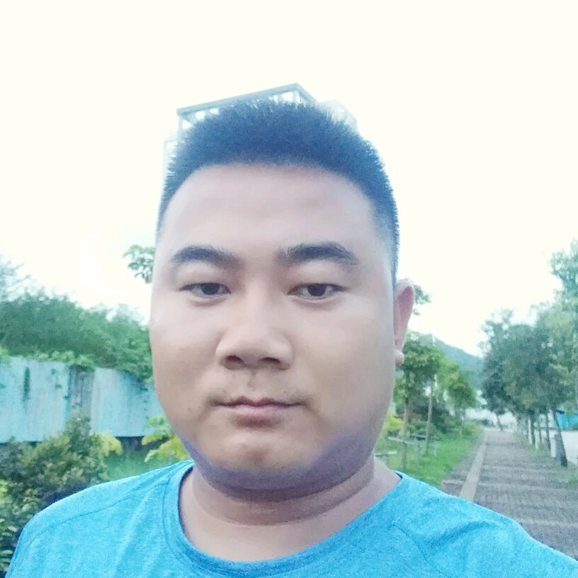 零碎长颈鹿的照片