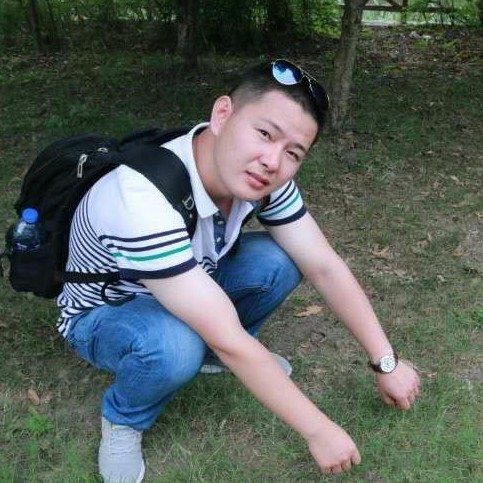 贤惠猫咪的照片