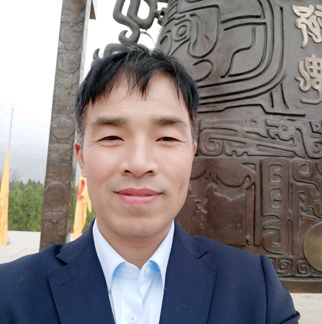 任性有树叶的照片