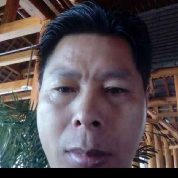 金鱼遇見不解的的照片