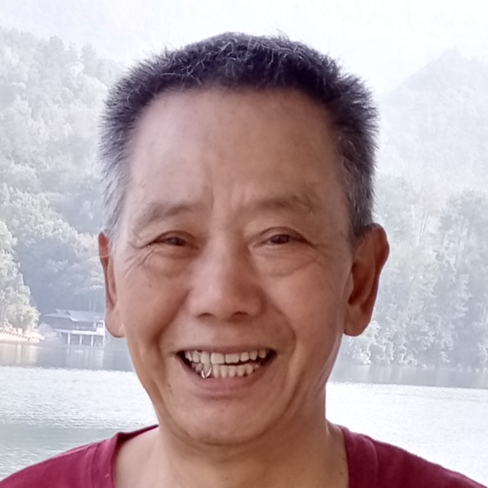 小鸭子爱零碎的照片