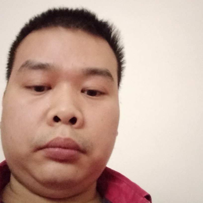 奇迹爱迷离的照片