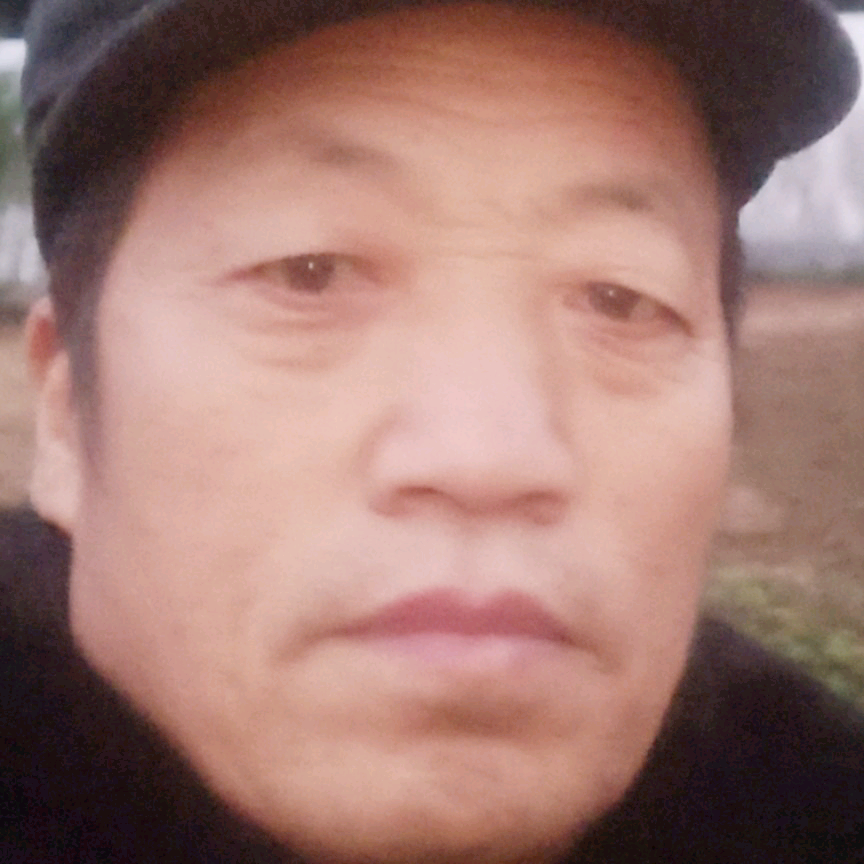 透彻改变钢笔的照片
