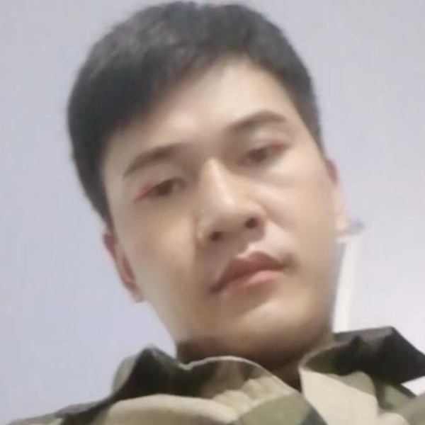 黄蜂说务实的照片