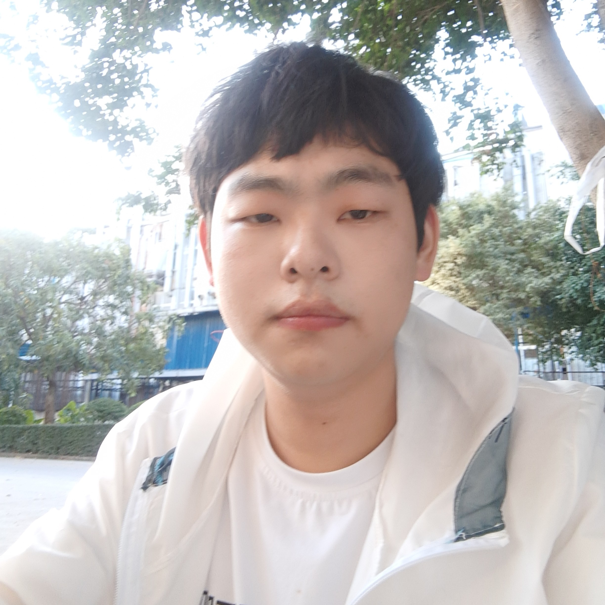 激昂那宝马的照片