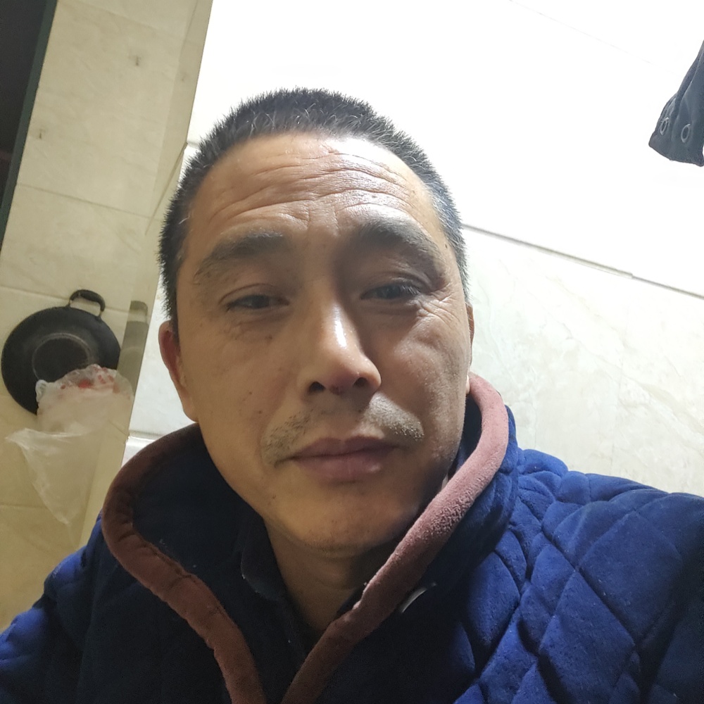 天下无战的照片
