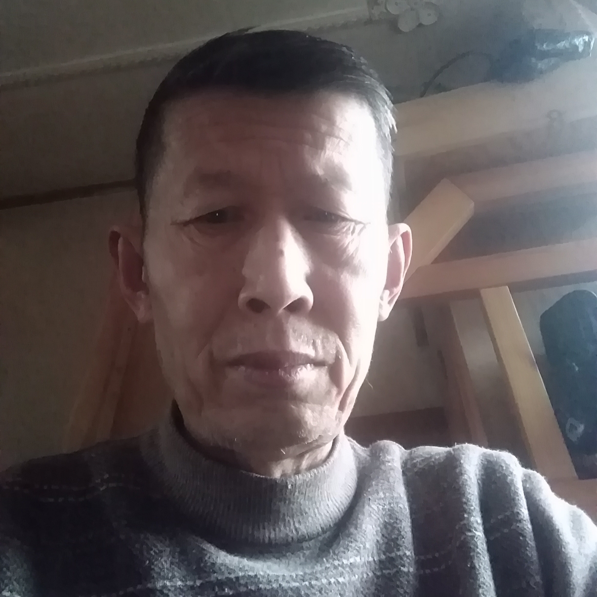 老树新枝的照片