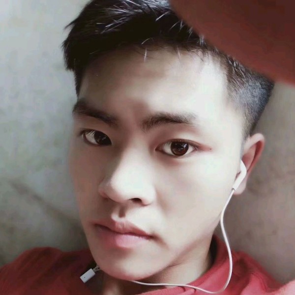 悲凉回眸白羊的照片