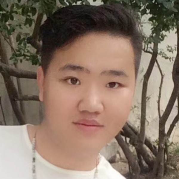 小天鹅蹁跹幽默的照片