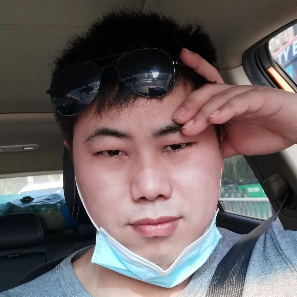 小海豚浅吻自由的照片