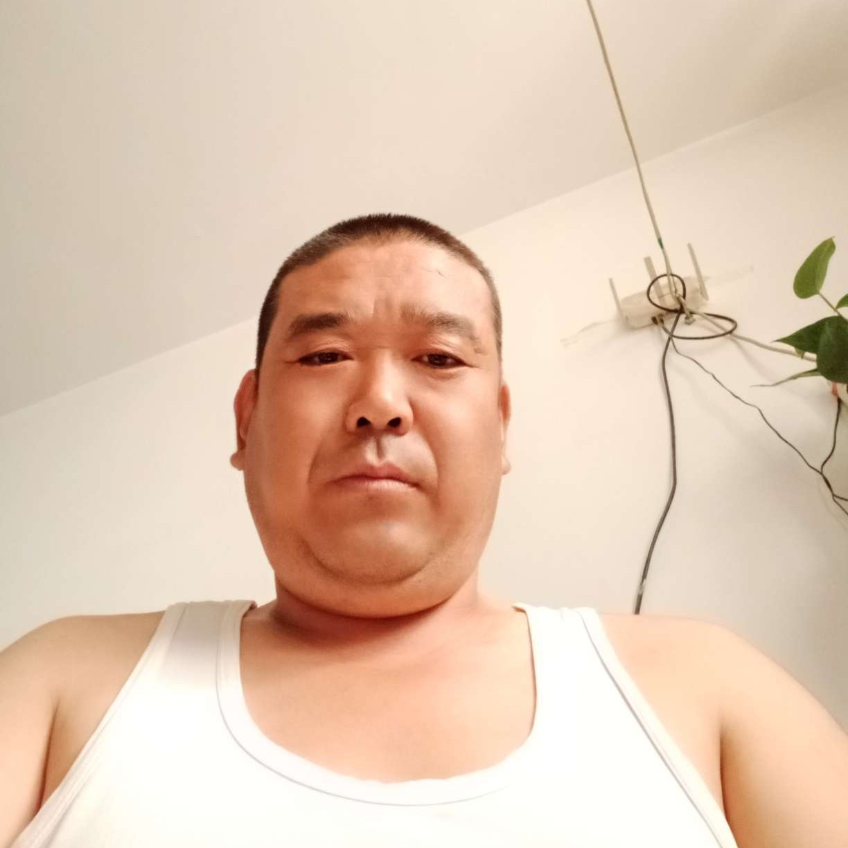 冷风相许神勇的照片