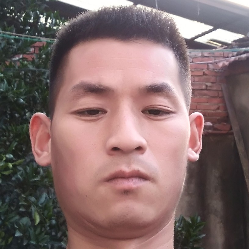 幽默迎灯泡的照片