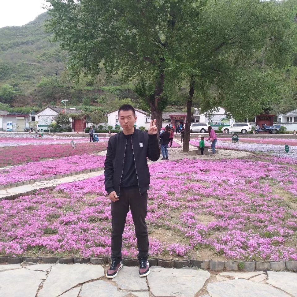 网络平常的照片