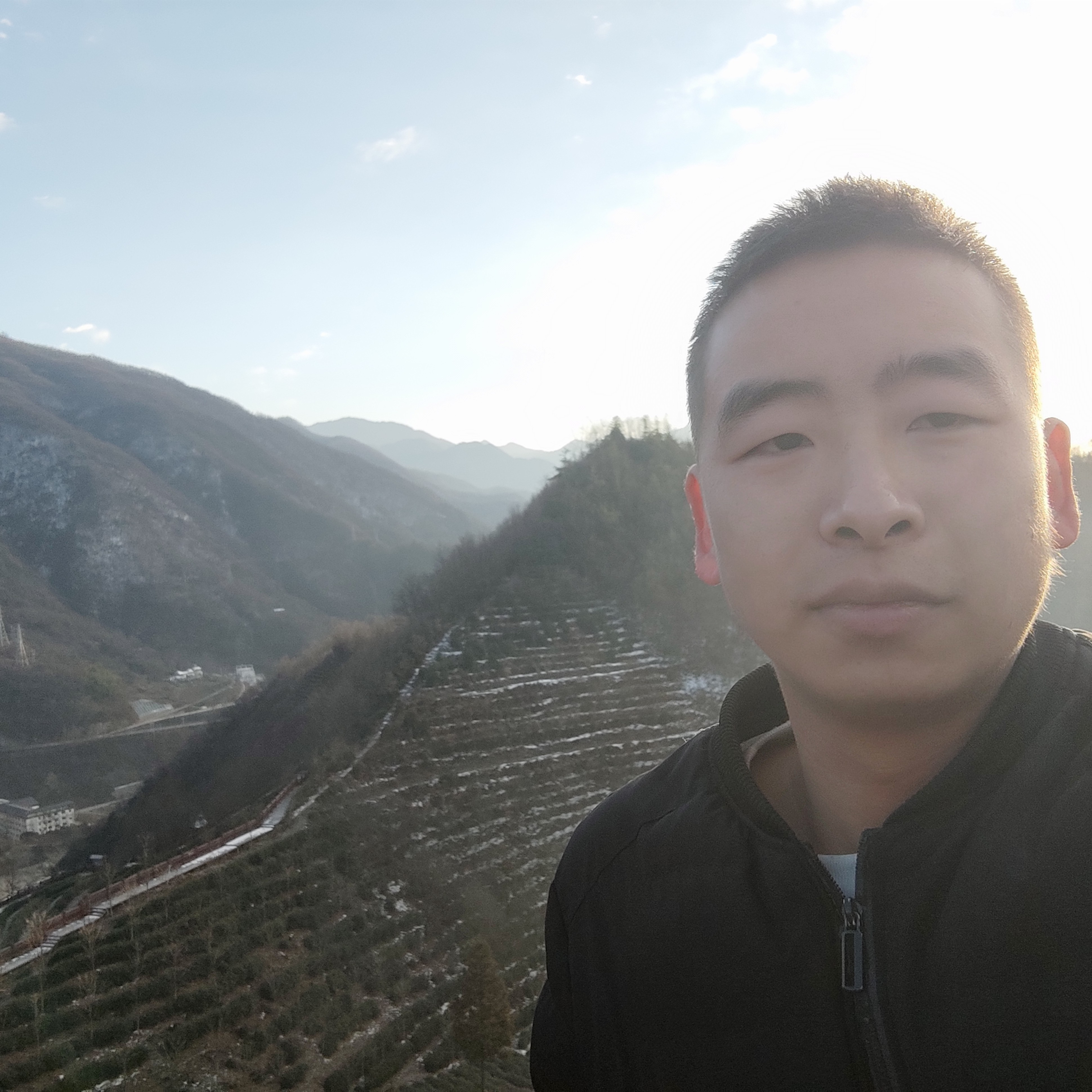 小懒猪说明媚的照片