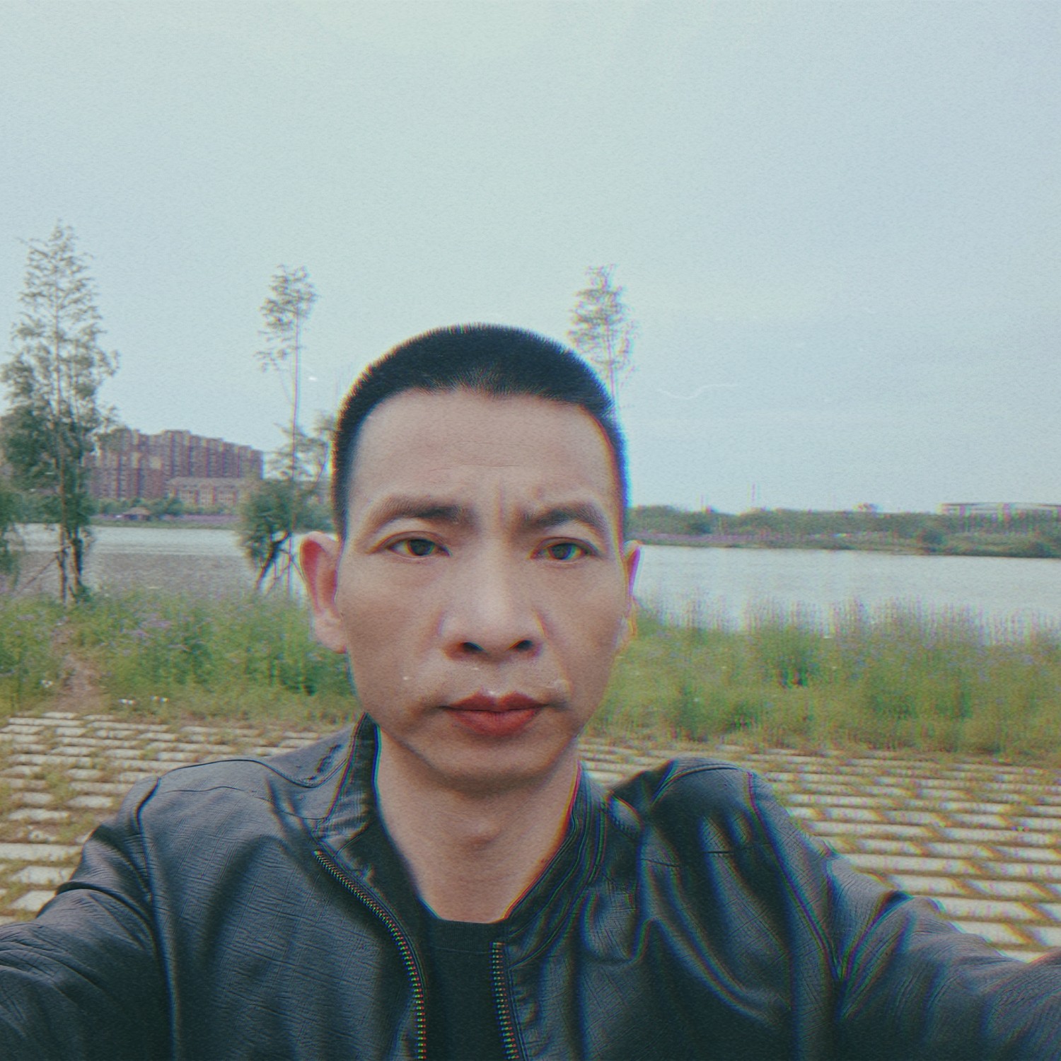 木绿的照片