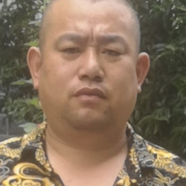 流浪的哈士奇的照片