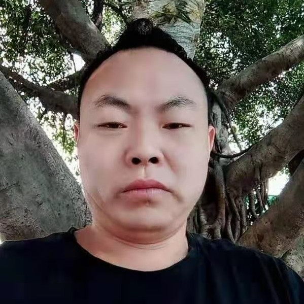 迷茫与小天鹅的照片